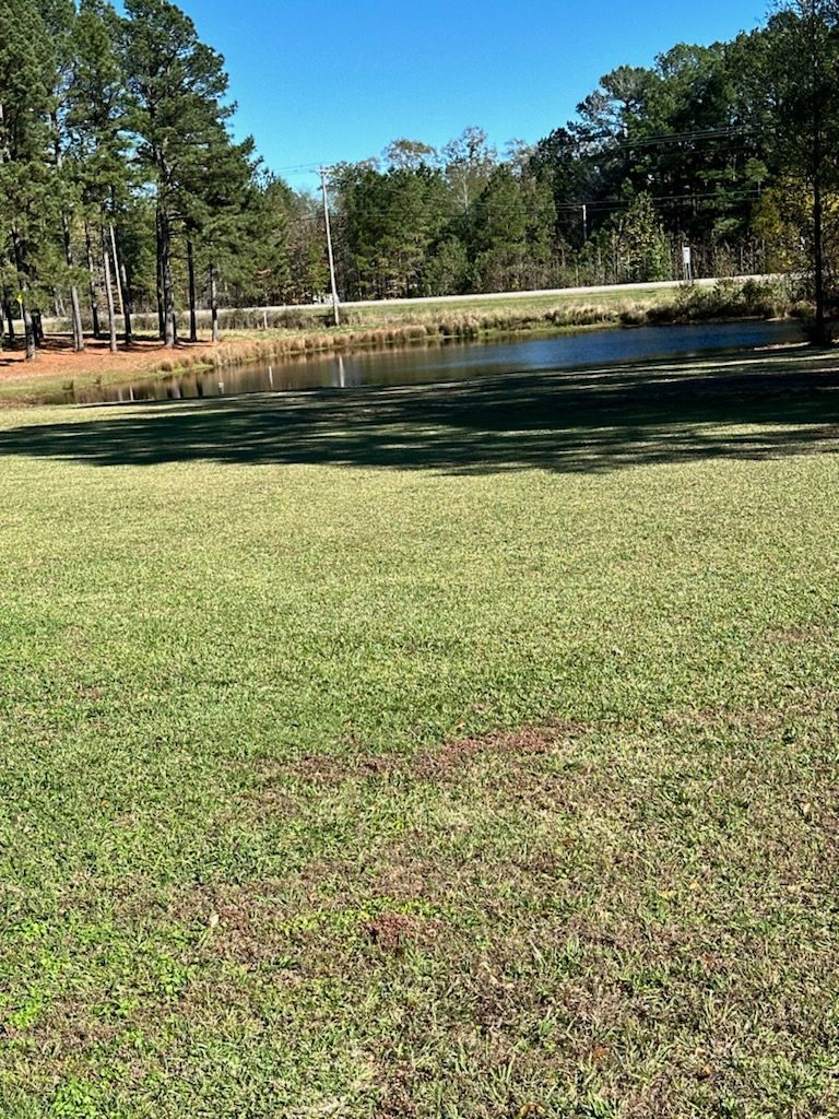 A large grassy field with a pond in the background and trees in the background.