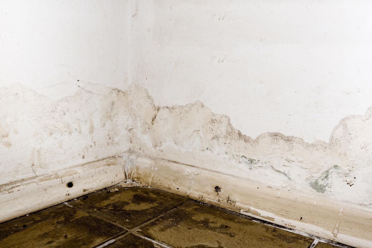 How to Prevent Future Water Damage in Your Home
Anthony Restoration of Gainesville, VA