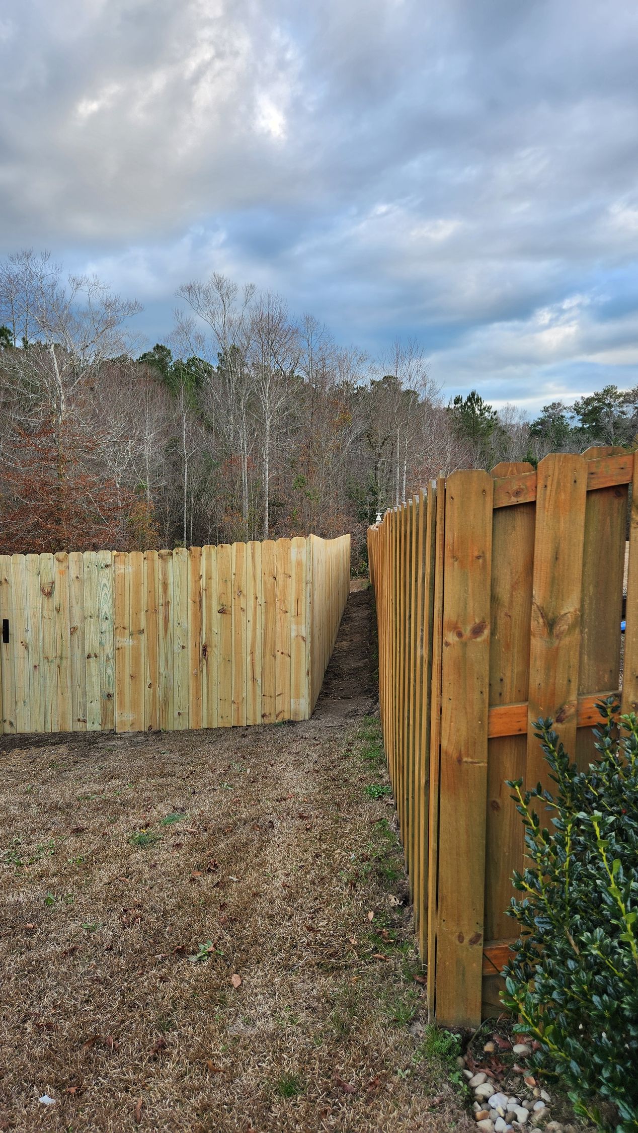 Wooden fence sections in a leaf-covered backyard under a cloudy sky.