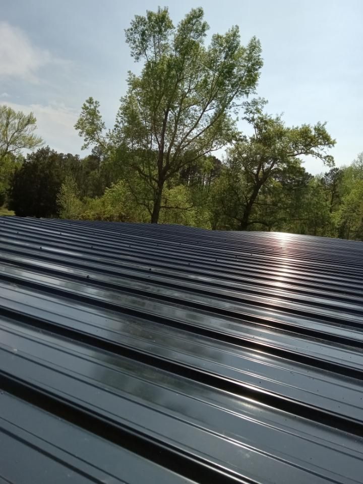 Sunlight glinting on a dark corrugated metal roof with trees and blue sky in the background