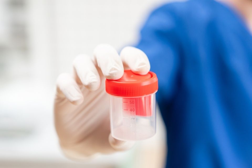 A person is holding a pipette over a test tube.