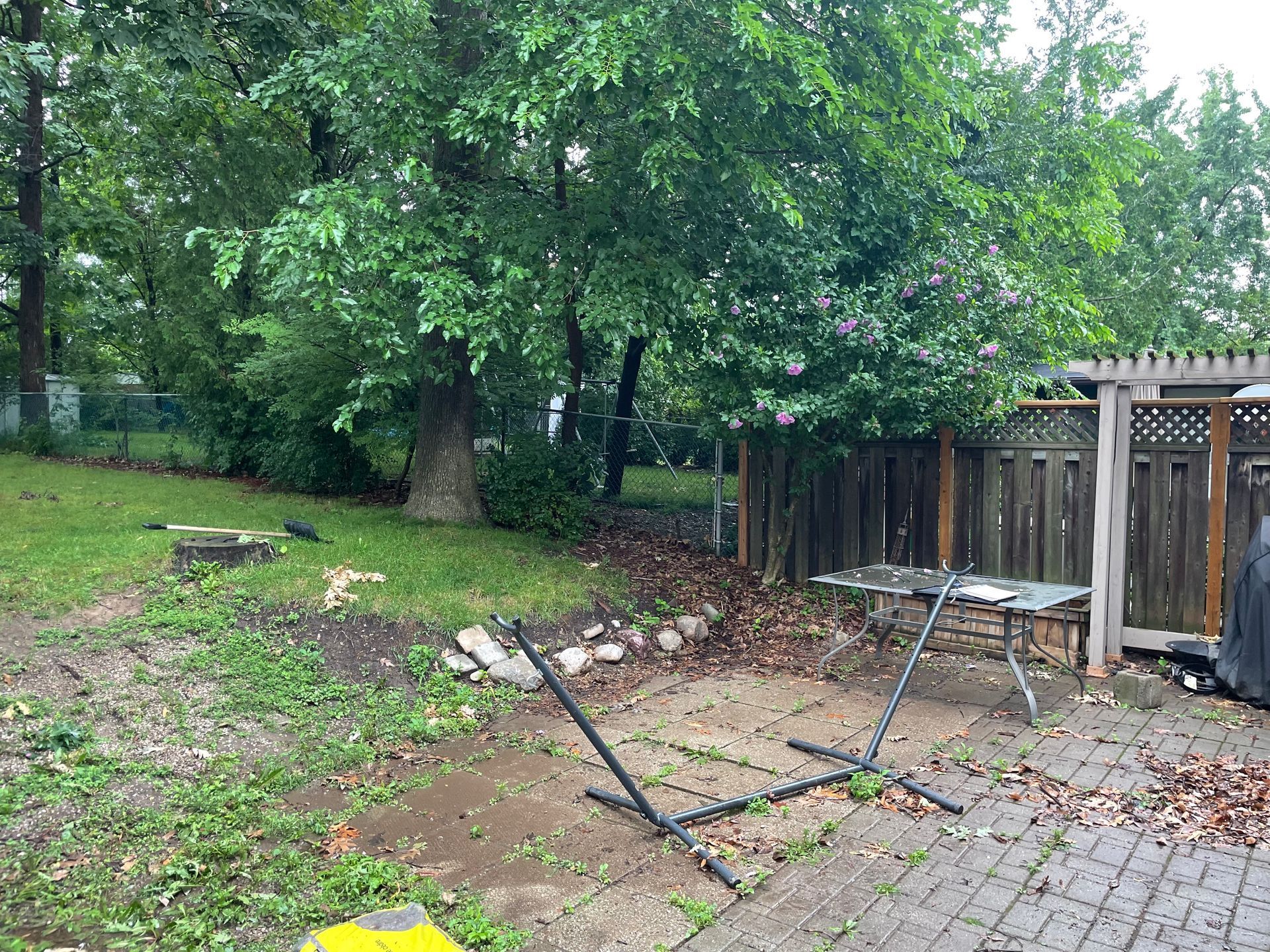 tree trimming services hamilton ontario, tree trimming company near me