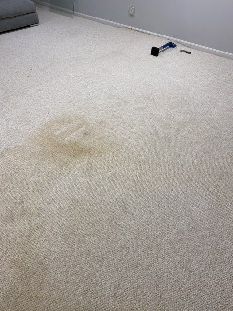 carpet cleaning company