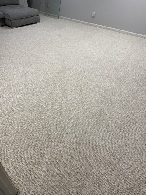 carpet cleaning company