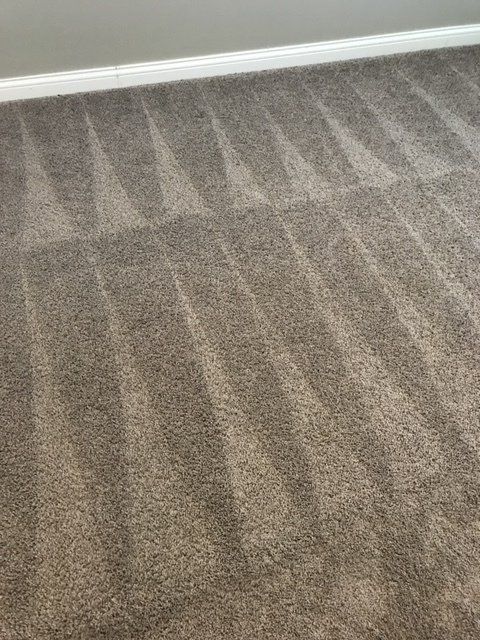 carpet cleaning company
