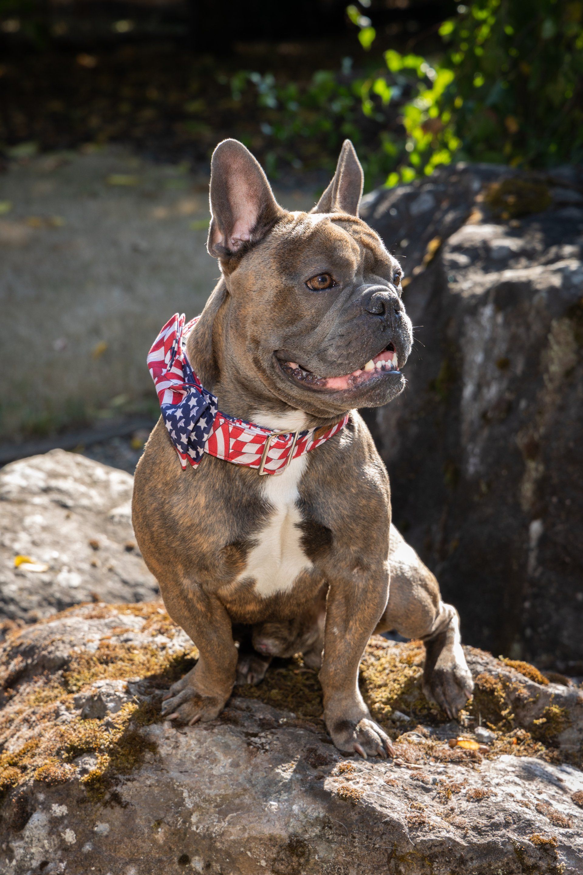 Arnold Headshot