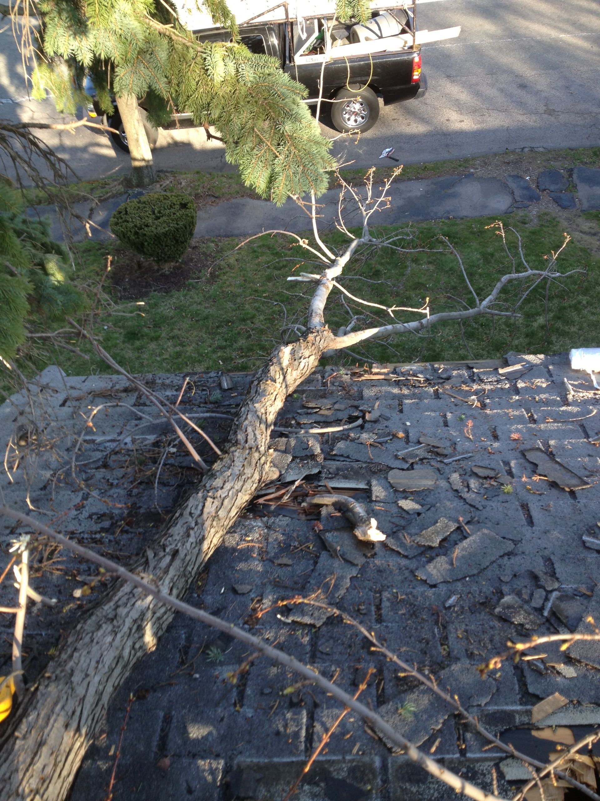 Fallen tree branch across a roof, with a truck parked on the street below