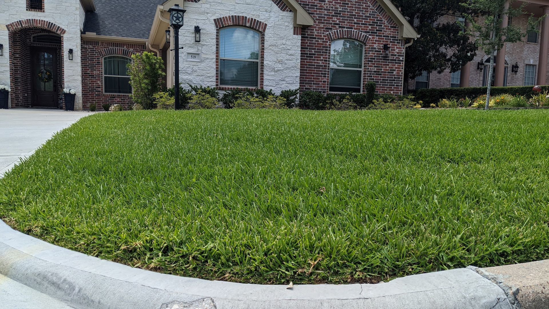 Healthy Lawn
