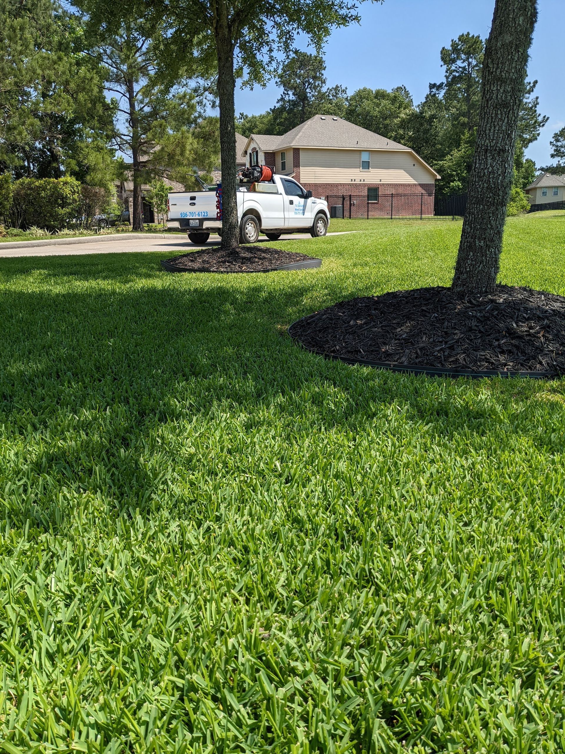 Healthy Grass