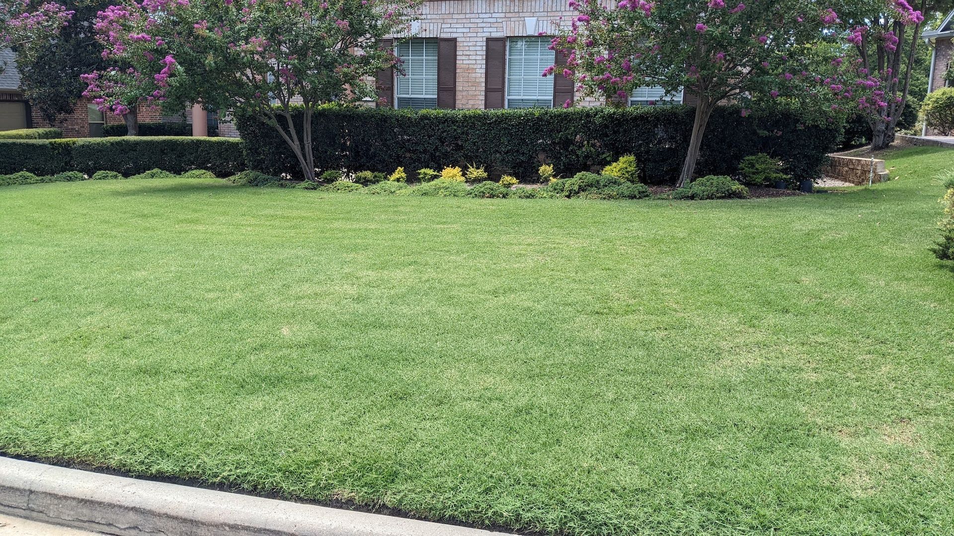Weed Control