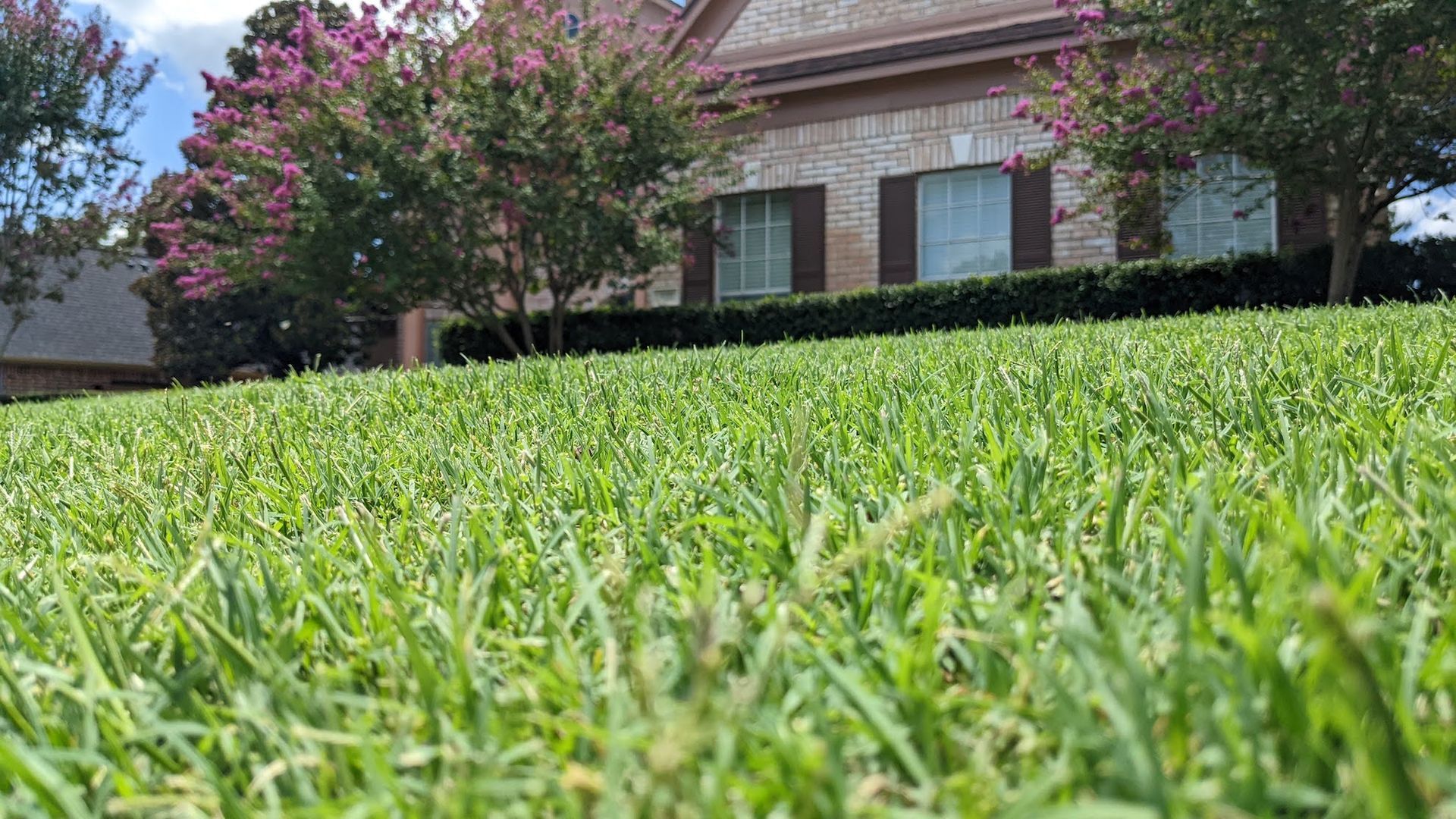 Lawn Fertilization