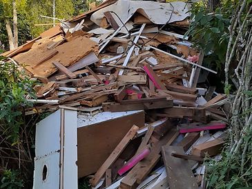 Pile of Wood is Sitting in the Middle of a Forest — Rob's Rubbish Removal in Logan, QLD