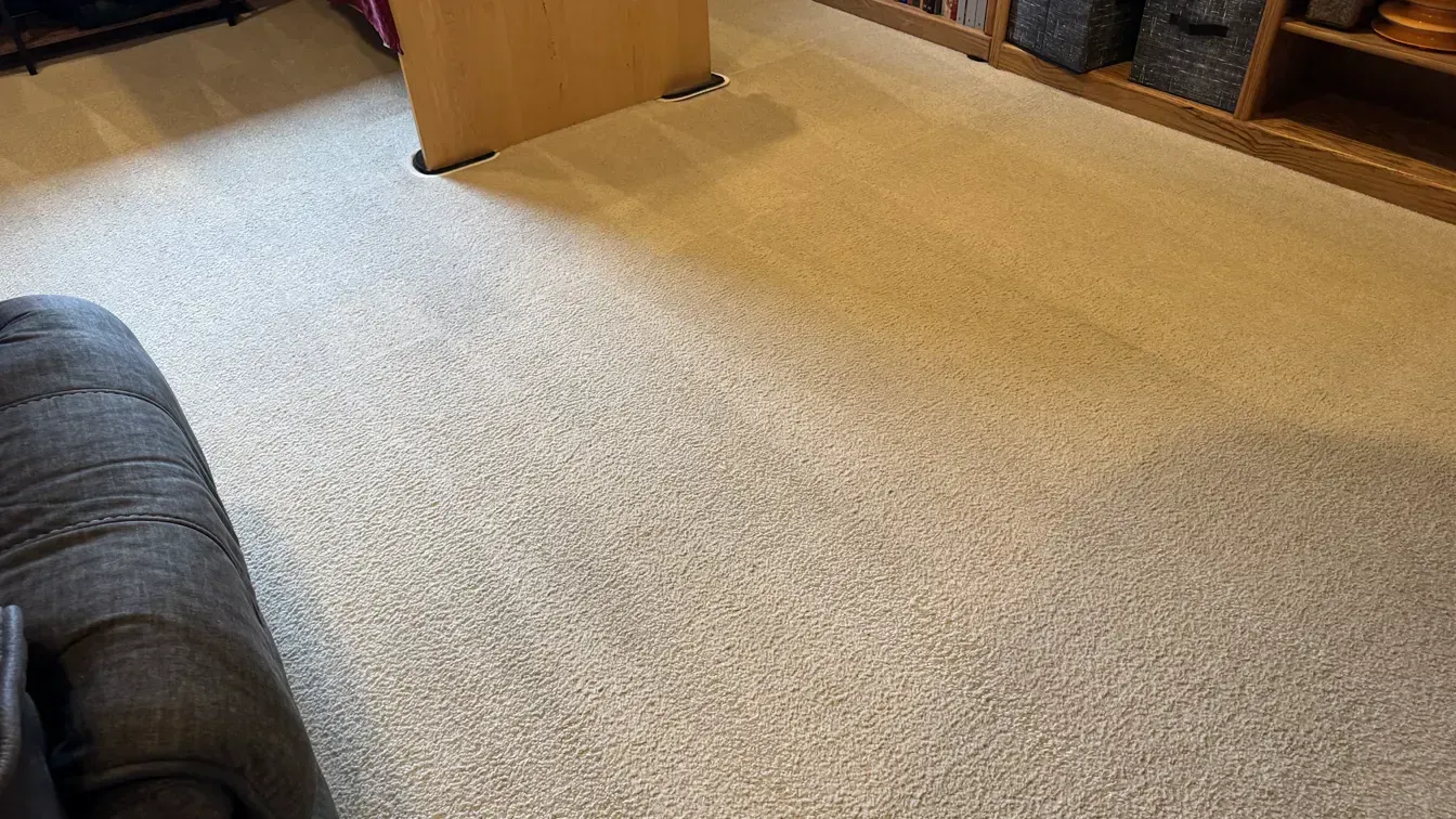 Professional carpet cleaning technician inspecting carpet in a bright home