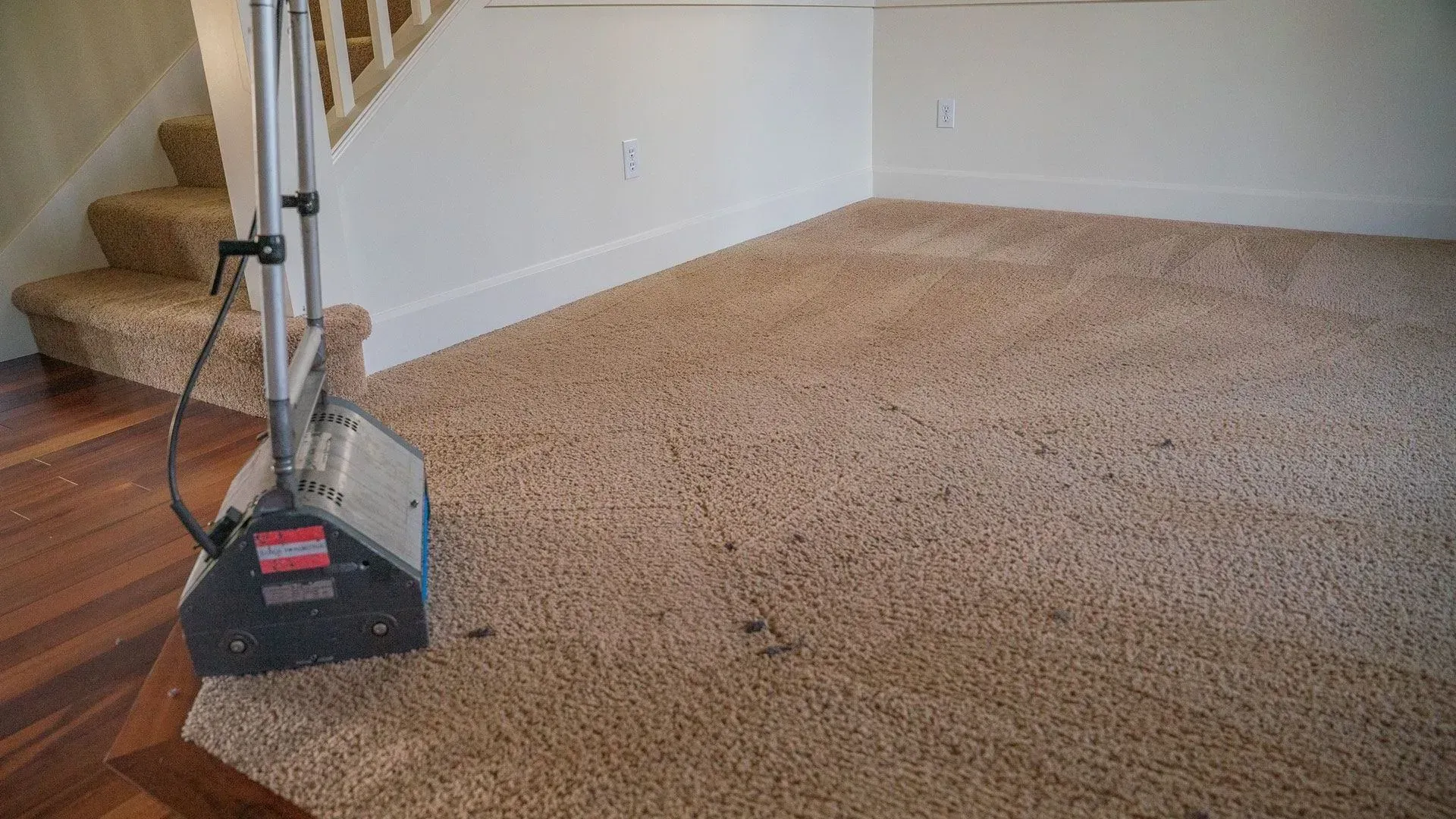 Pet-safe carpet cleaning for Covington families in a bright home