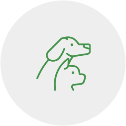 A green line drawing of two dogs on a white background.