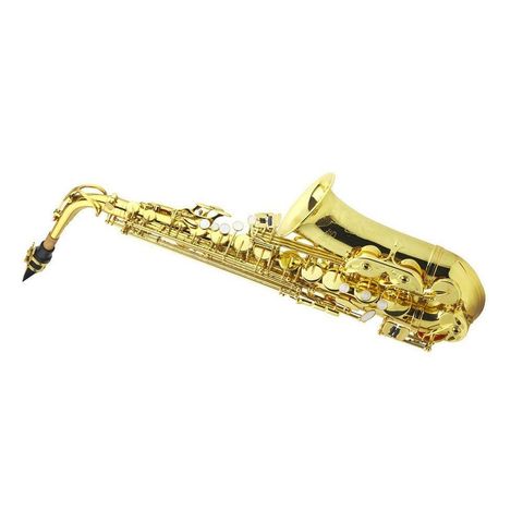 Molteni strumenti musicali Varese - Ampio assortimento strumenti ed accessori,