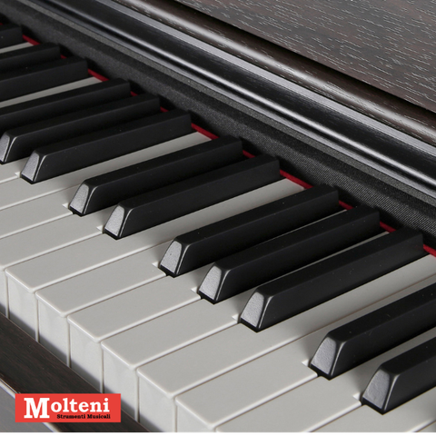 Molteni strumenti musicali Varese - Ampio assortimento strumenti ed accessori,