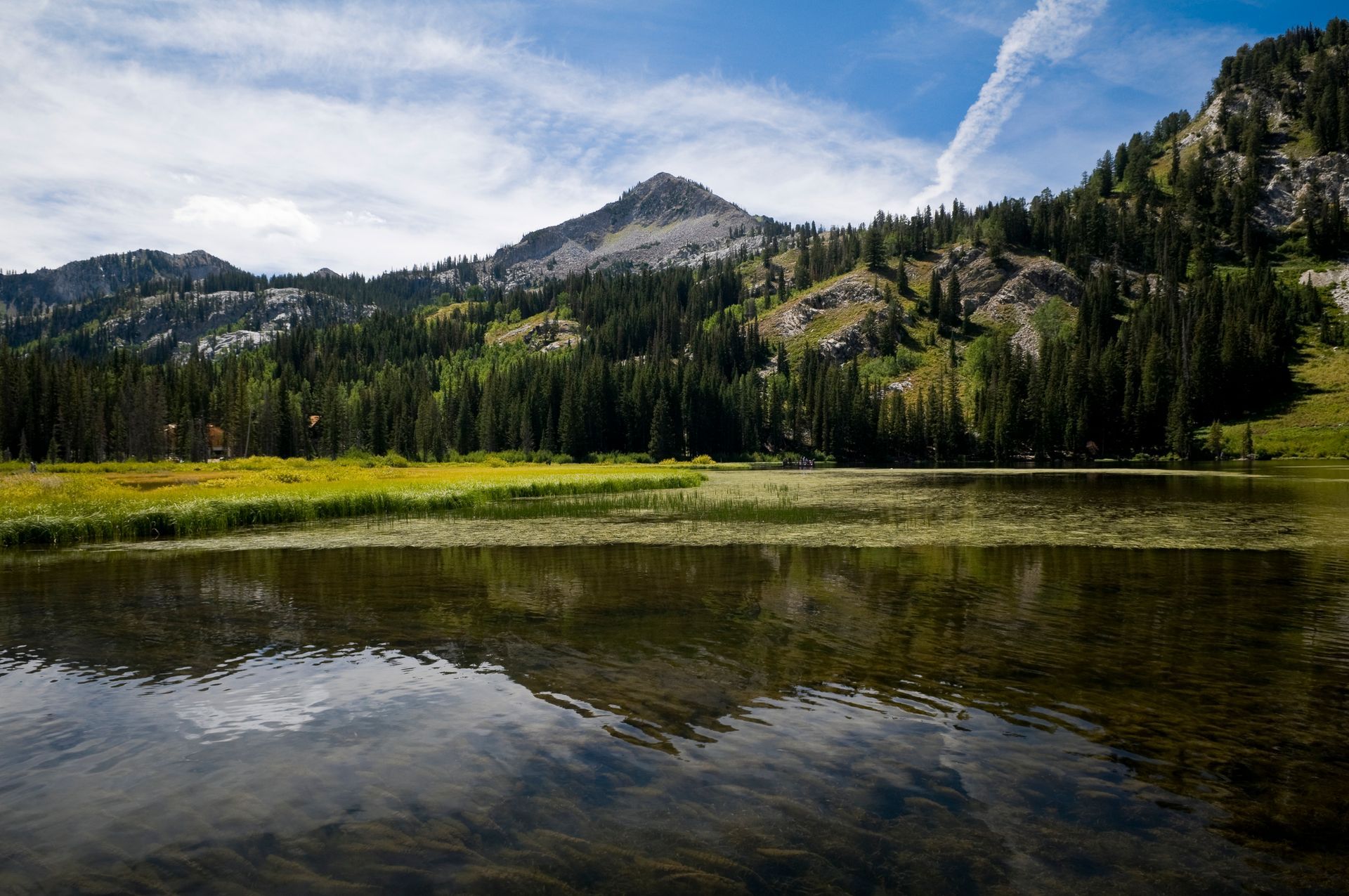 A scenic view of Big Cottonwood Canyon, Utah, showcasing rugged mountain landscapes, dense forests, and a serene alpine lake reflecting the surrounding peaks.