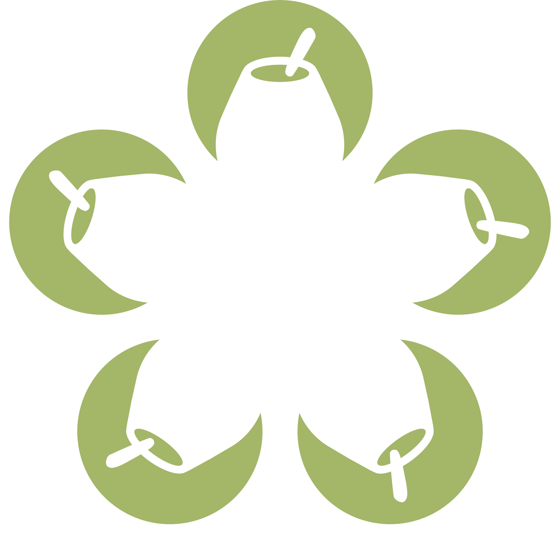 mn logo icon