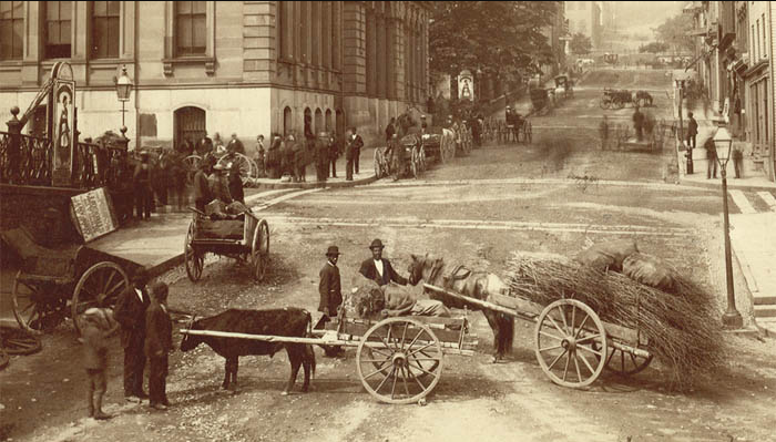 Ox-drawn carts loaded with brushwood on a cobblestone street, lined with buildings and people, likely late 19th century.