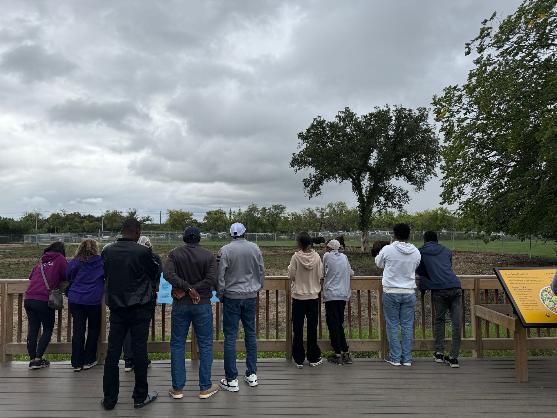 People on a wooden platform looking out at a field under an overcast sky.