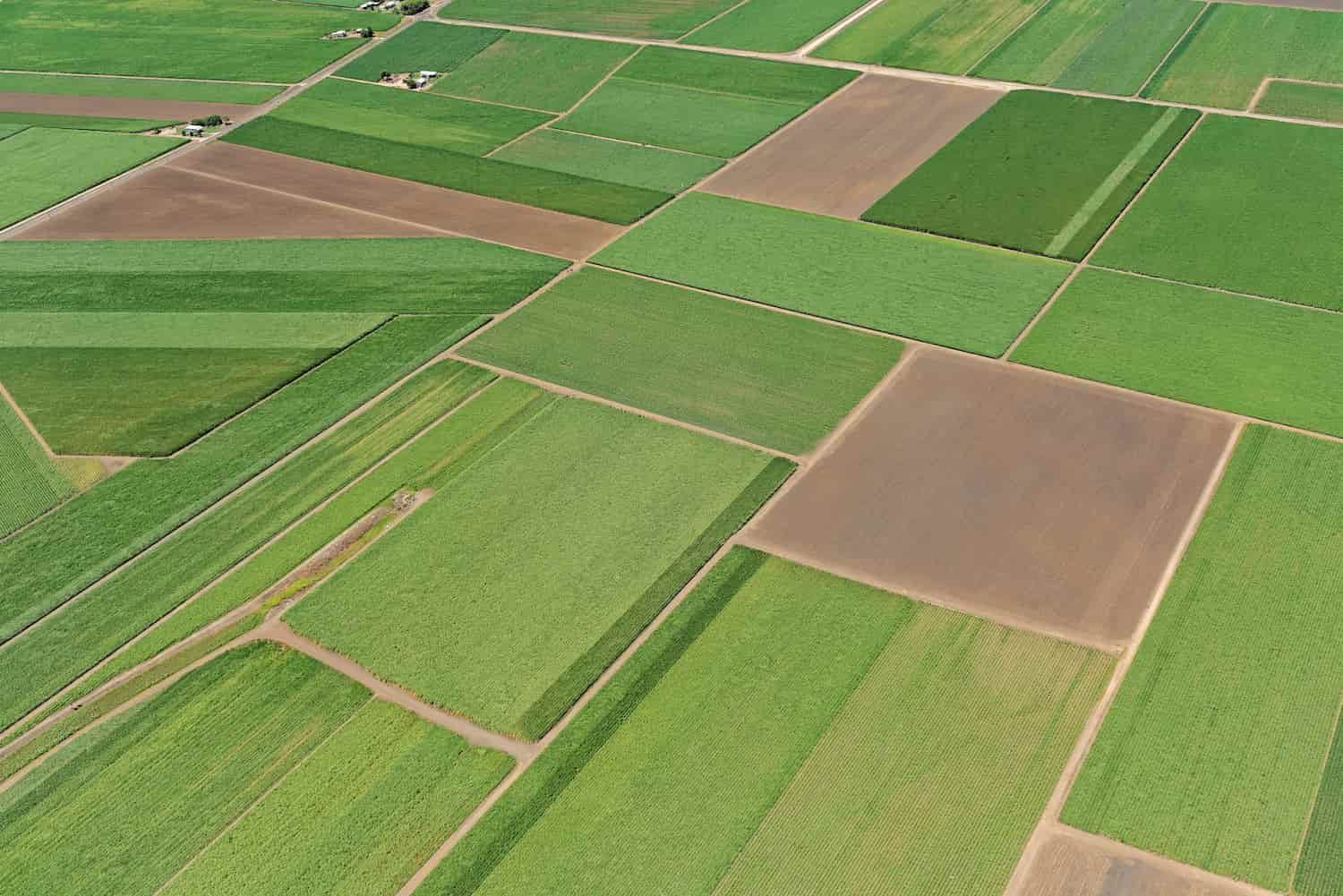 An Aerial View of a Lush Green and Brown Agricultural Field — East-West Fire Services In Ayr, QLD