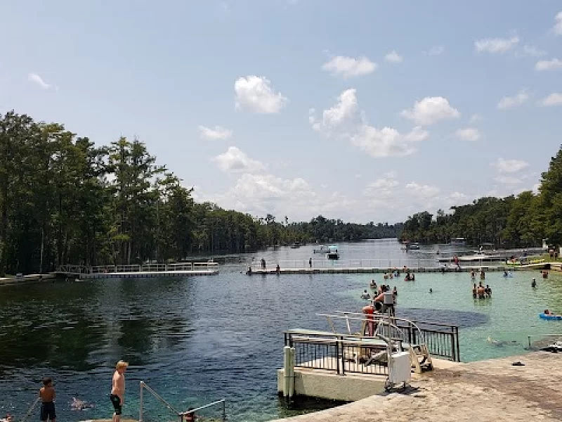 A group of people are swimming in a lake surrounded by trees.