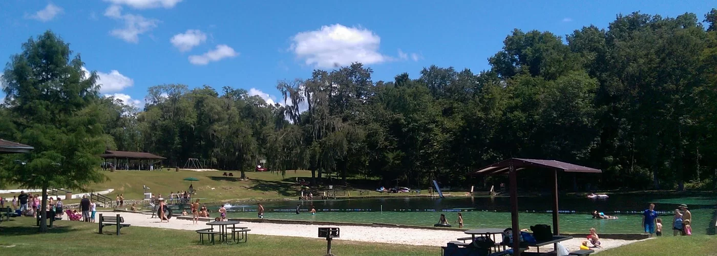 A group of people are gathered around a lake in a park on a sunny day.