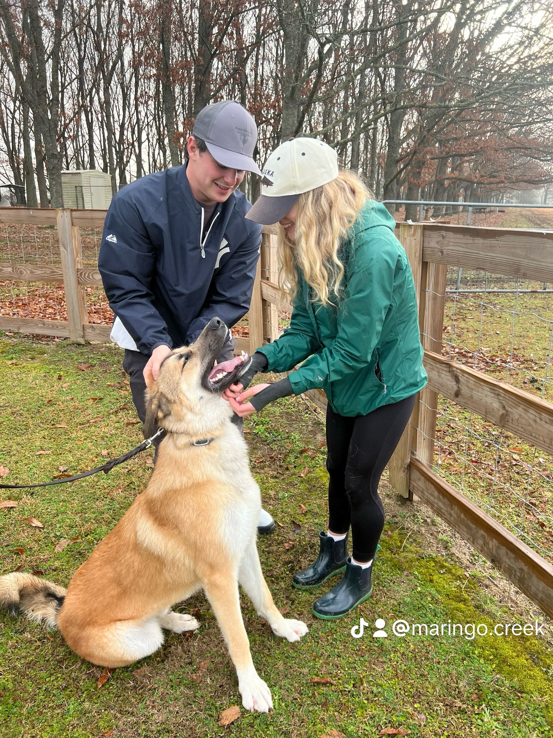 Dog Boarding in Opelika AL Maringo Creek Farm