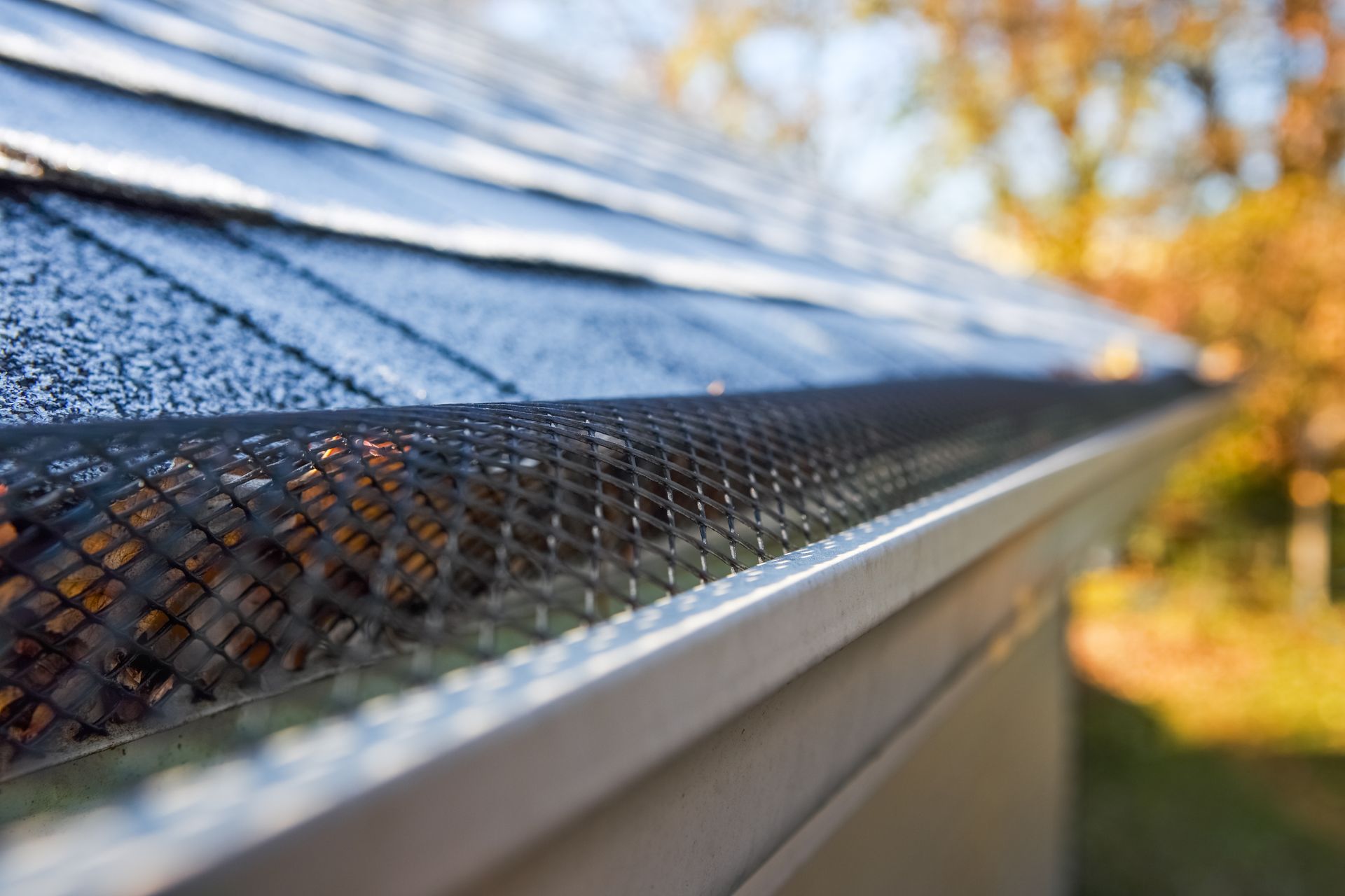 Close-up of a roof gutter with mesh guard, filled with fallen leaves, against a blurred outdoor backdrop. Close-up of a roof gutter with mesh guard, filled with fallen leaves, against a blurred outdoor backdrop.