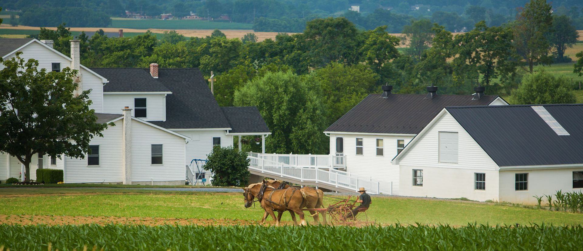 Horses plowing a field near white farmhouses. Green crops in foreground, trees and hills in the background. Horses plowing a field near white farmhouses. Green crops in foreground, trees and hills in the background.