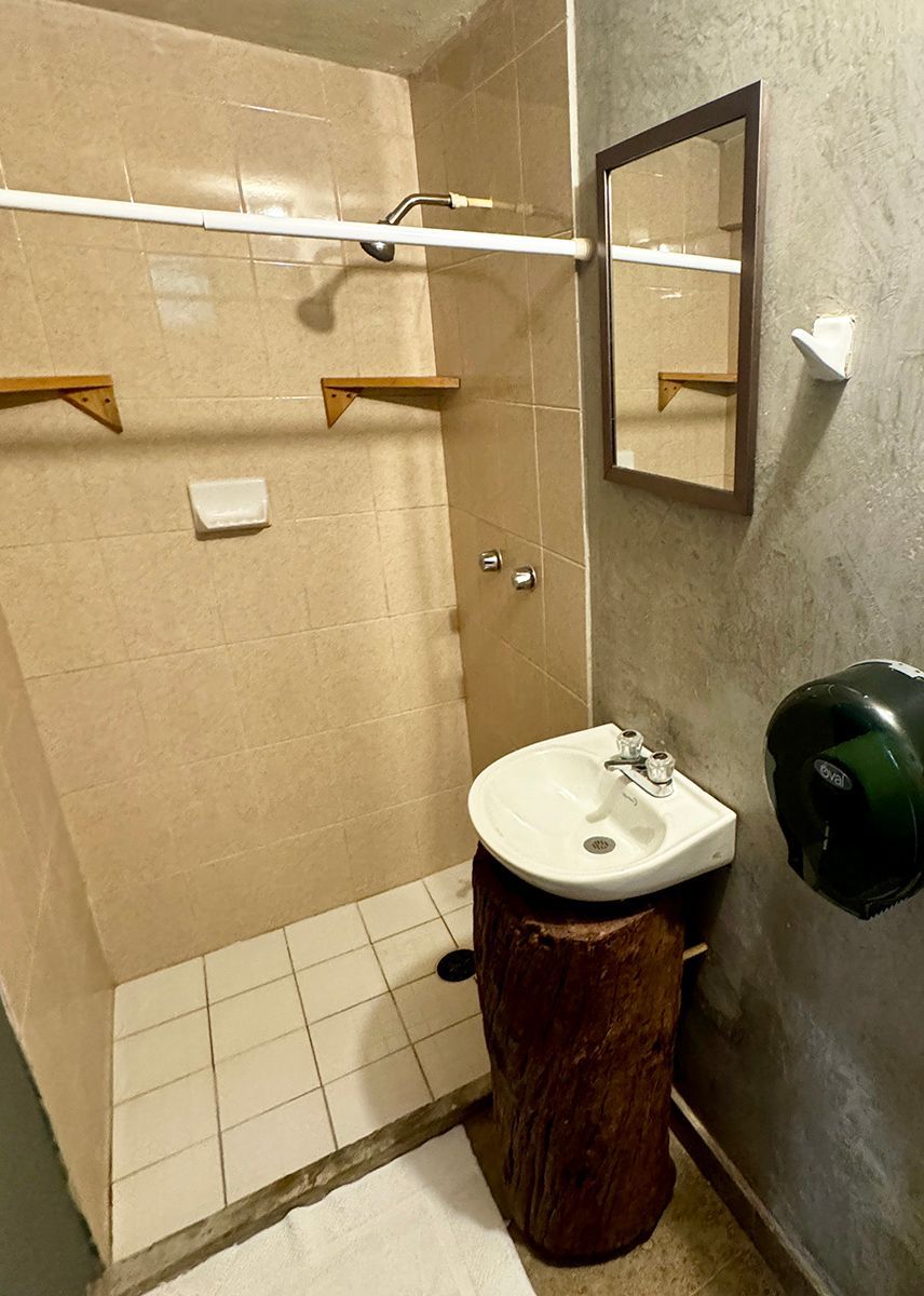 A bathroom with a sink , mirror and shower.