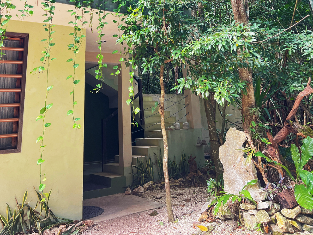 A hotel building in the middle of a lush green jungle surrounded by trees and rocks.