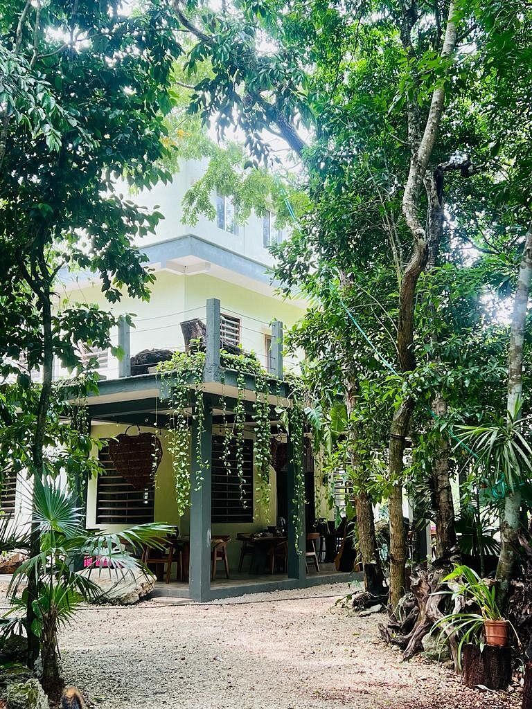 A hotel in the jungle surrounded by trees.
