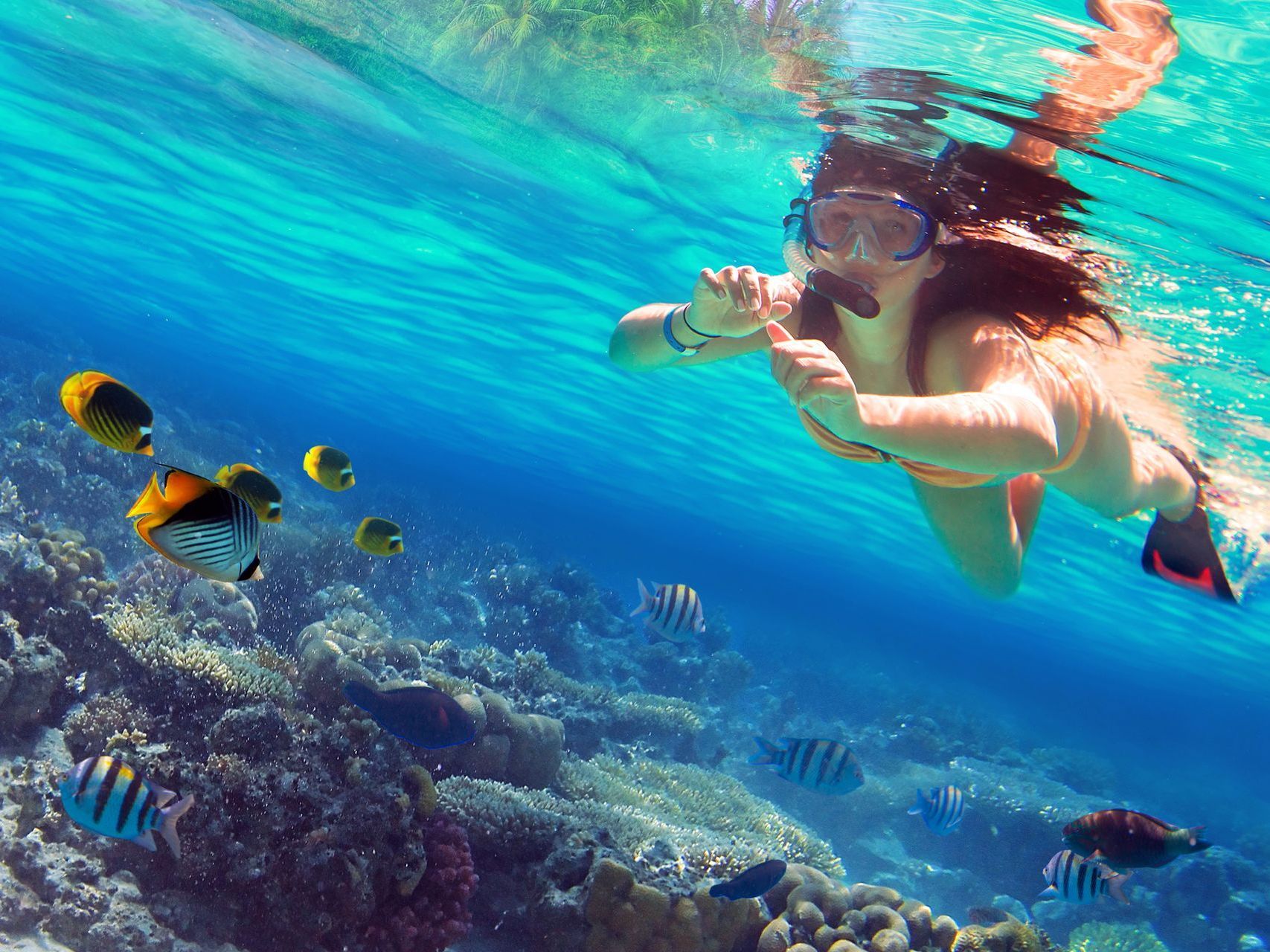 A woman is snorkeling in the ocean near a coral reef surrounded by fish.