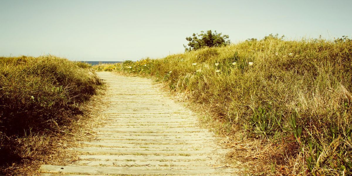 A wooden boardwalk leading through coastal grasses towards the beach under a clear sky, inviting visitors for a serene stroll by the ocean.