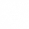 Blank white background.