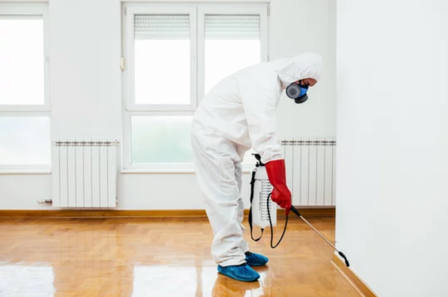 pest control company Conroe TX