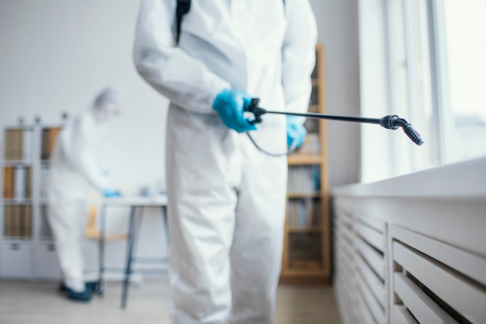 pest control company in The Woodlands TX