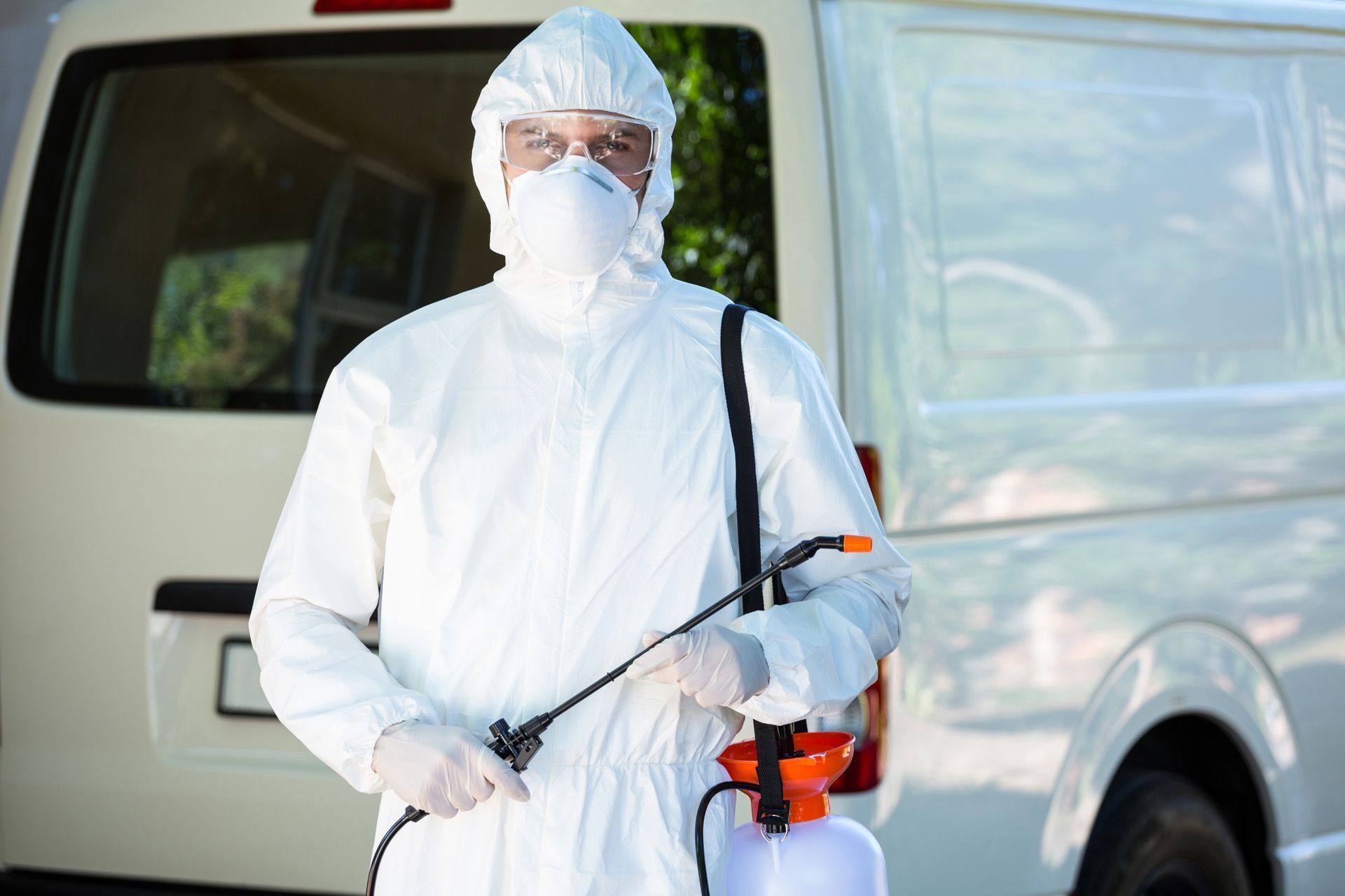 professional pest control
