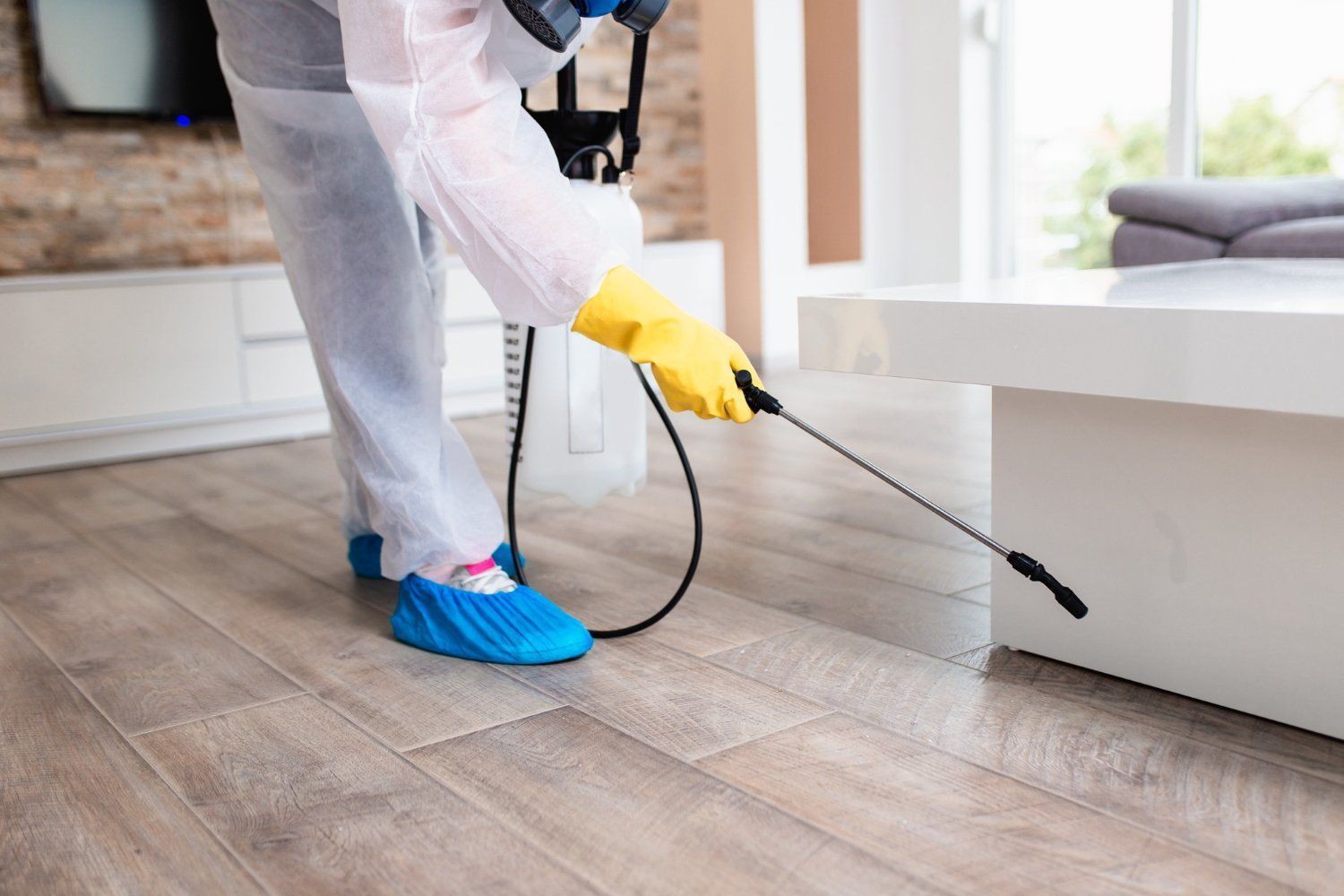 pest control services in Spring TX