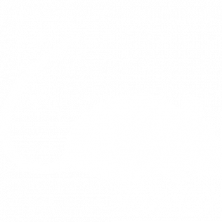 Blank white image.