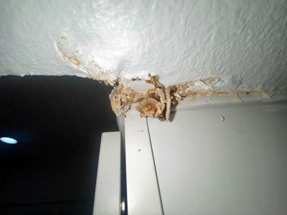 Damaged ceiling corner with cracked plaster and exposed patch above a doorway