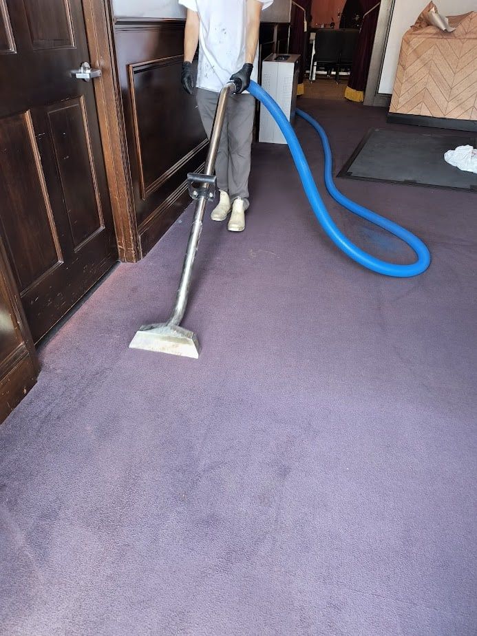 Person vacuuming a purple carpet indoors with a blue hose attached to a vacuum cleaner