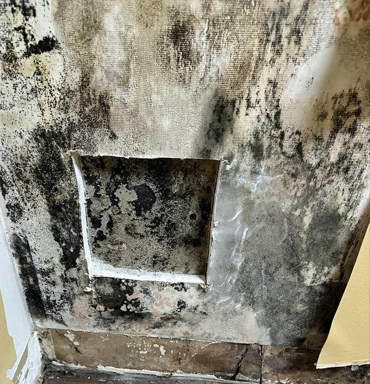Mold-covered wall and baseboard with a removed vent cover on the floor.