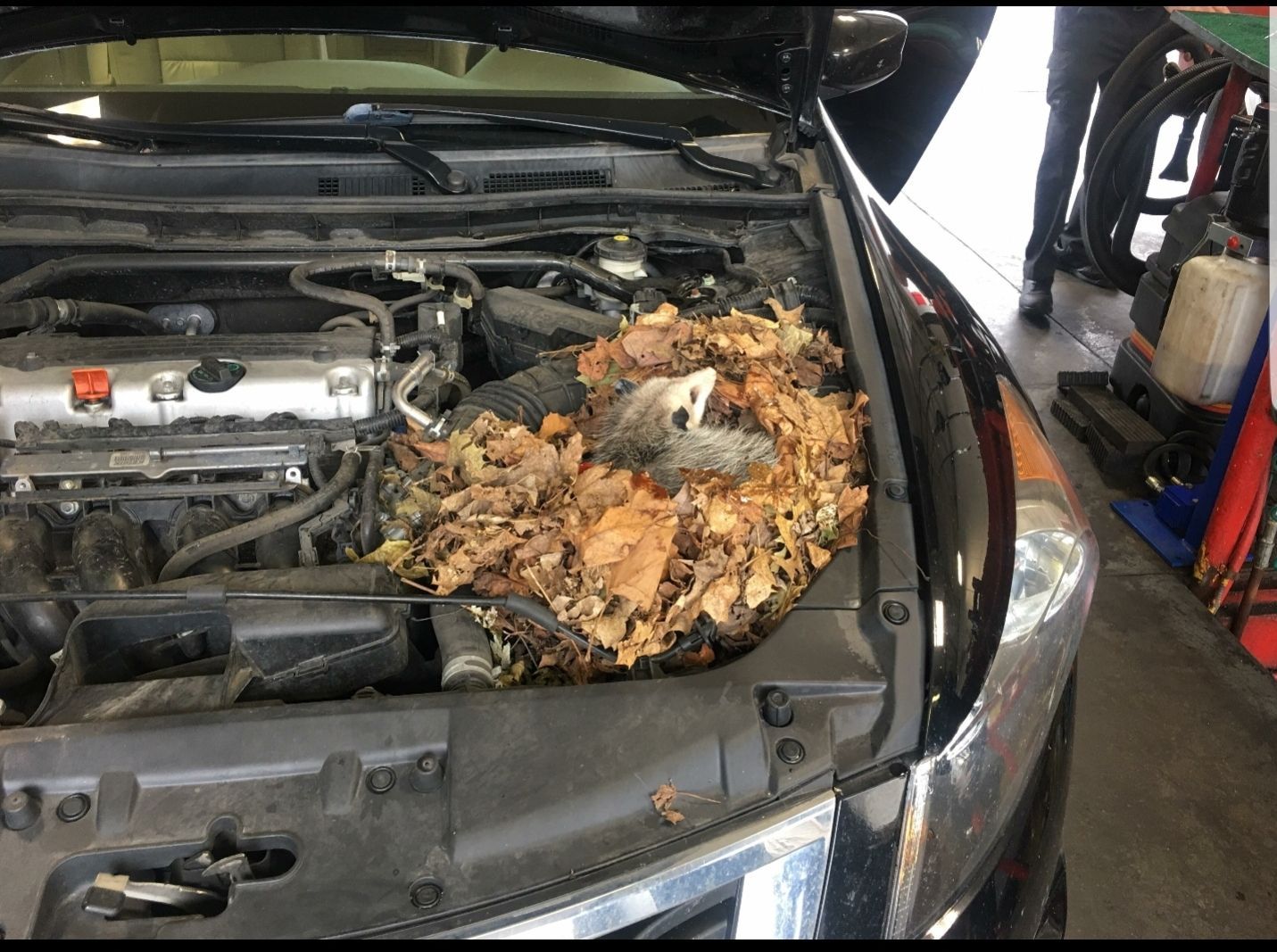 Gallery 2 | Good Guys Garage