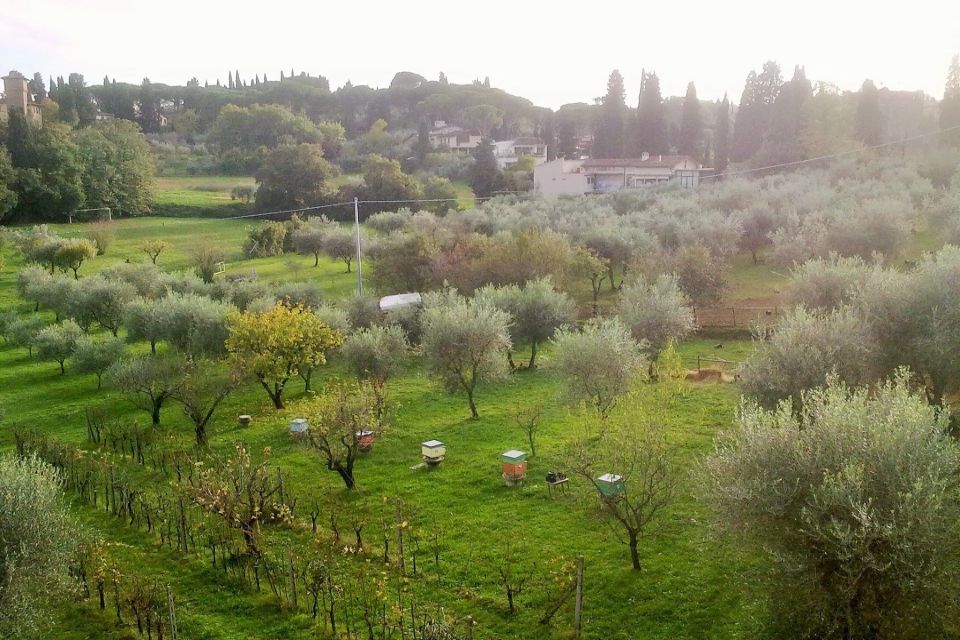 Colli