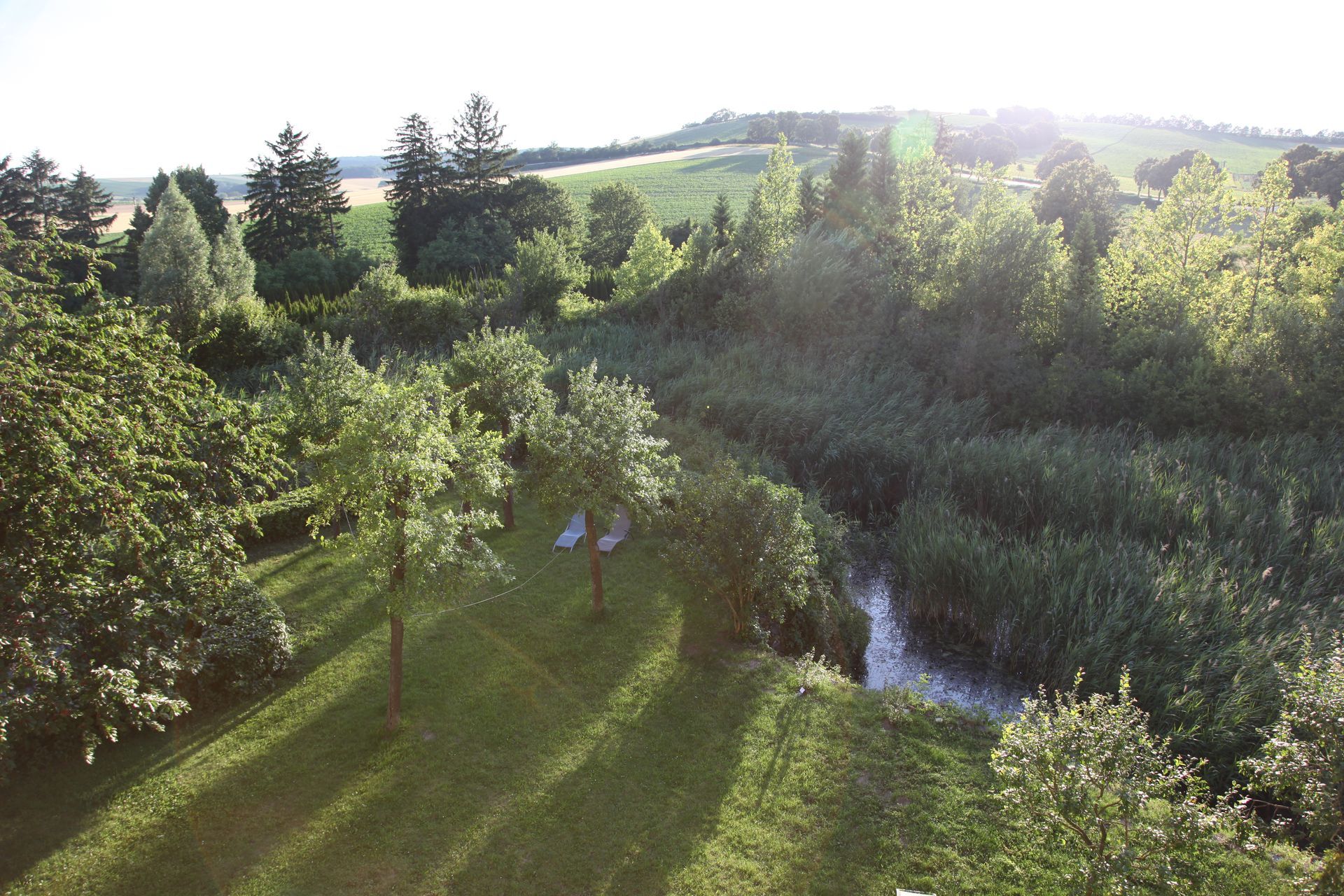 garten von oben