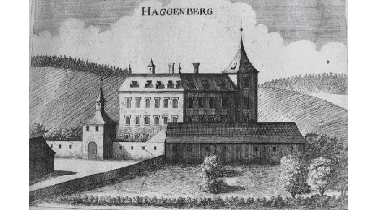 Burg Haggenberg