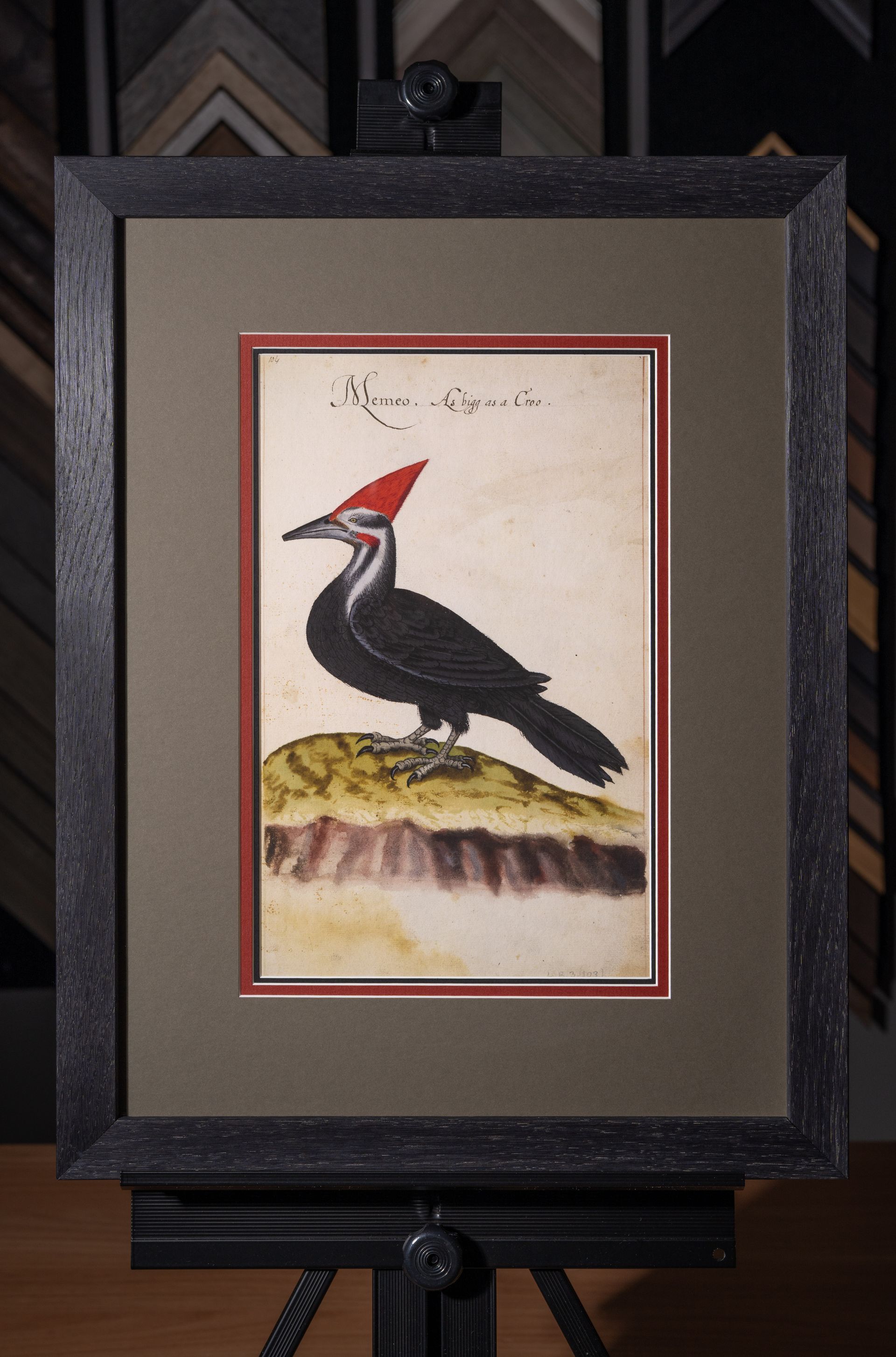 Custom framed bird artwork with layered neutral and red matting